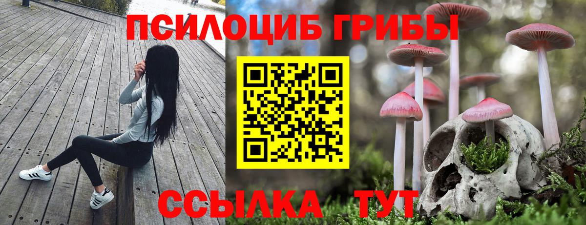 Галлюциногенные грибы Cubensis Узловая